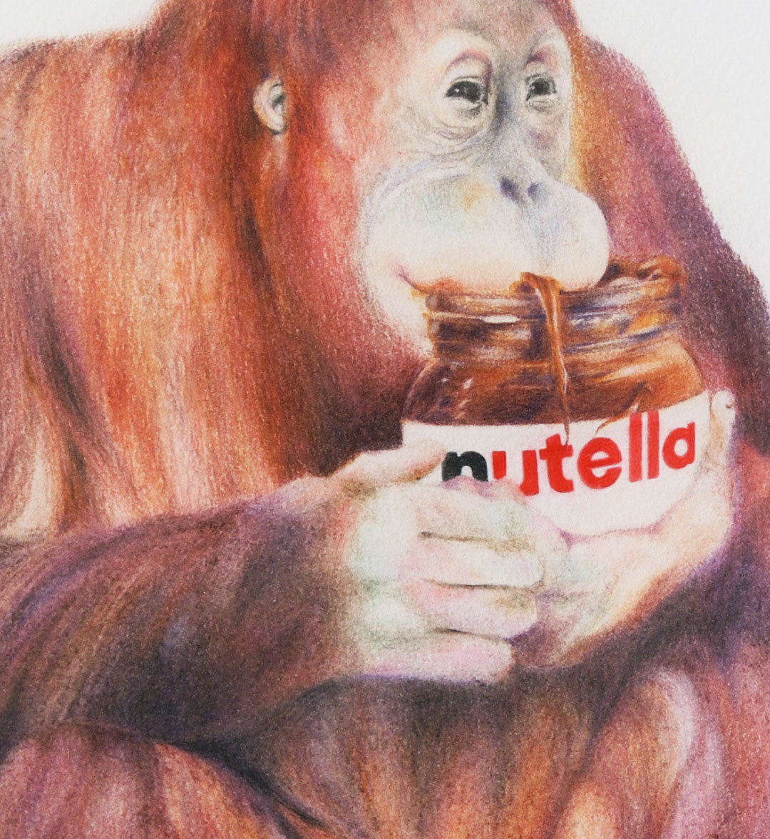 Orangután