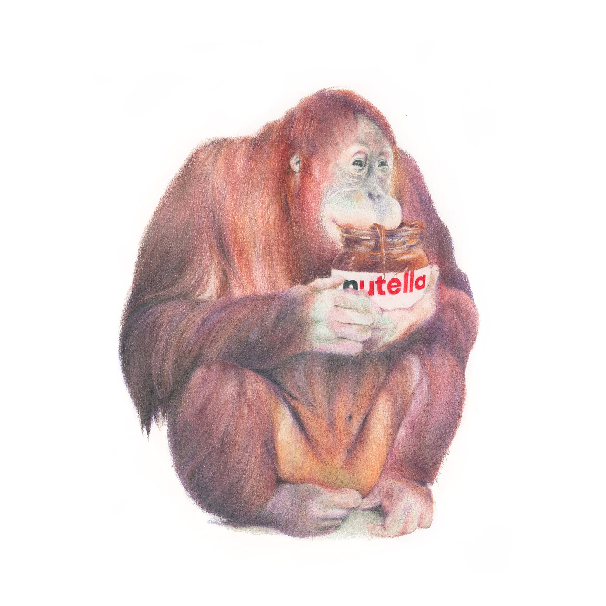 Orangután